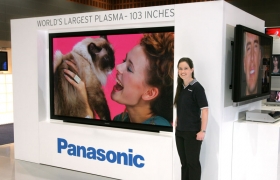 Panasonic    71%