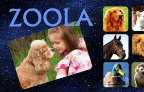 ZOOLA  Animal school -   